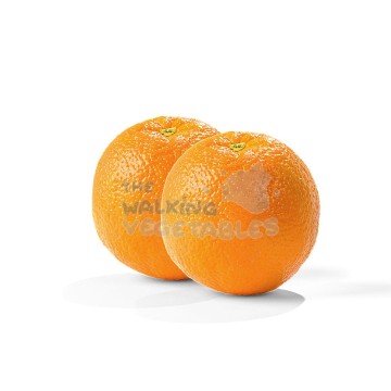 Orange (1 Piece)