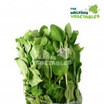 Fresh Vegetables