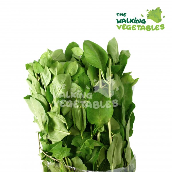 Fresh Vegetables