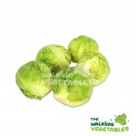Fresh Vegetables