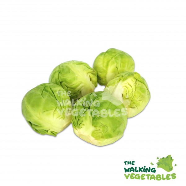 Fresh Vegetables
