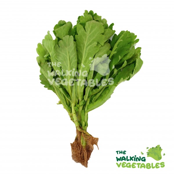Fruits & Vegetables
