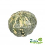 Fruits & Vegetables