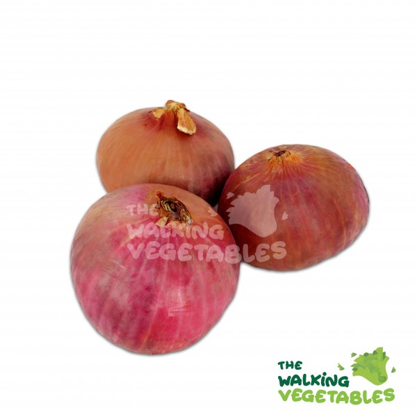 Fresh Vegetables