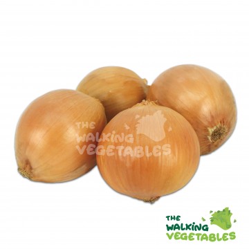 大白葱 / White Onion (400-500g)