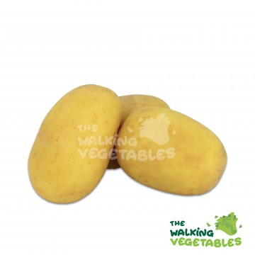 土豆（澳）/ Australia Potato (500g)