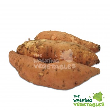 番薯（印尼)/ Indonesia Sweet potato (400-500g)(Loose)