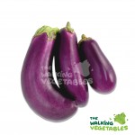Fresh Vegetables