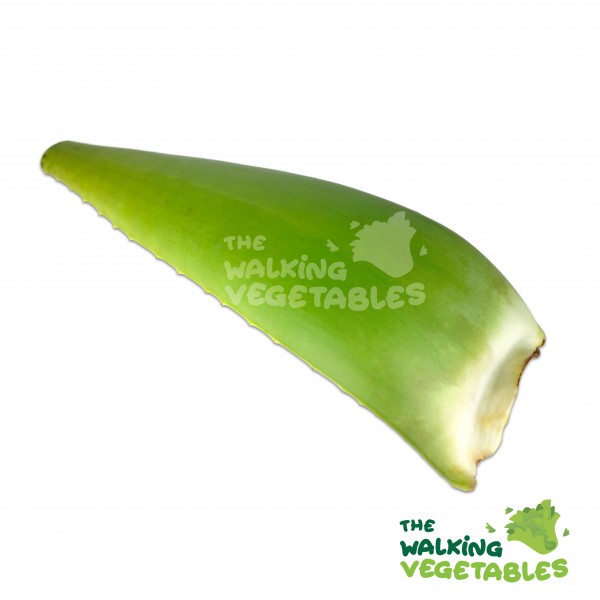 Fruits & Vegetables