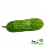 Fruits & Vegetables