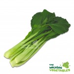 Fresh Vegetables