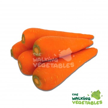 红萝卜B / China Carrot (450-550g)