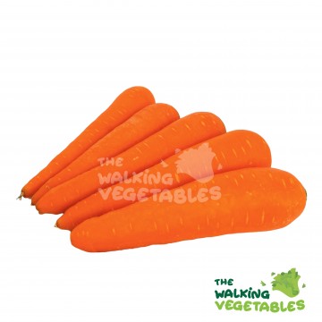 红萝卜A/ Australia Carrot (450-550g)