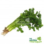 Fruits & Vegetables