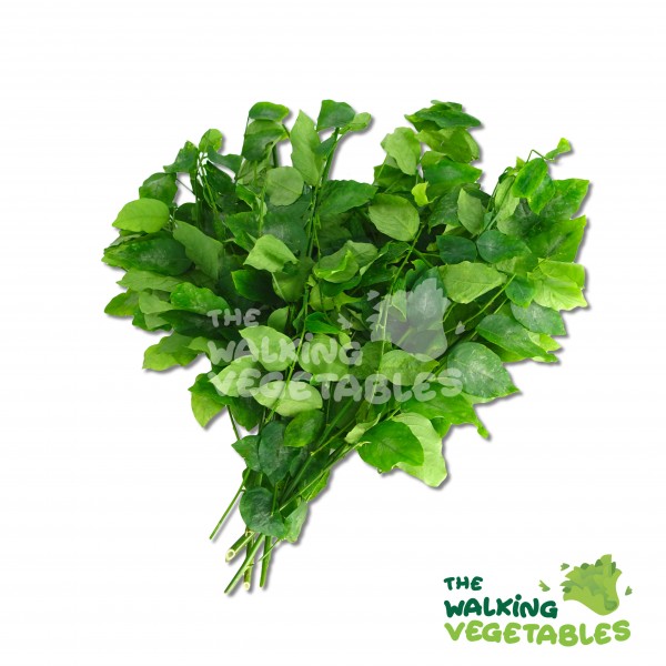 Fresh Vegetables