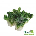 Fresh Vegetables