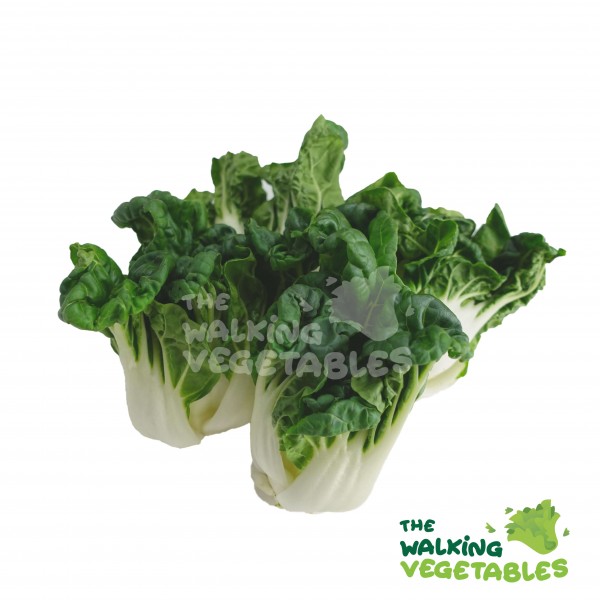 Fresh Vegetables
