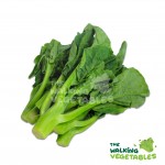 Fresh Vegetables