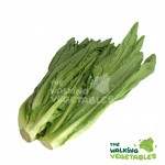 Fruits & Vegetables