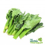 Fruits & Vegetables