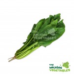 Fruits & Vegetables