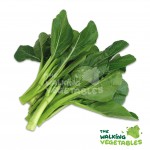 Fruits & Vegetables
