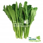 Fruits & Vegetables