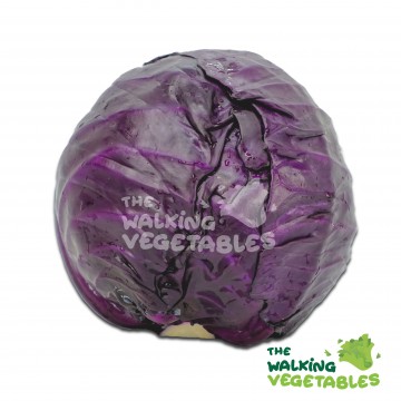 紫色包菜 / Purple Cabbage (350-450g)