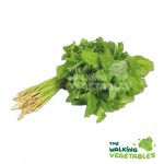 Fruits & Vegetables